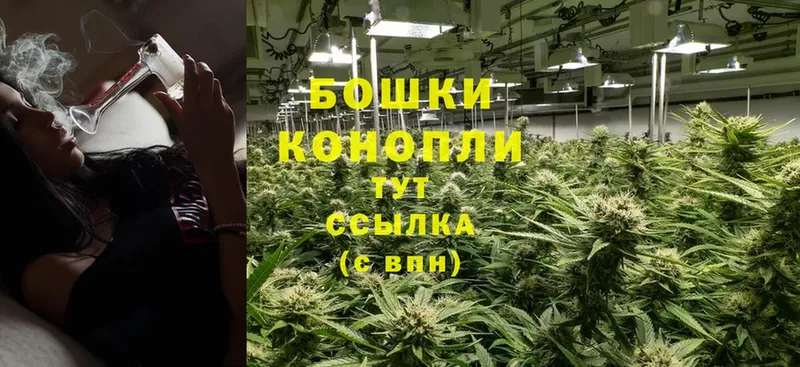 Бошки марихуана SATIVA & INDICA  Красноуральск 